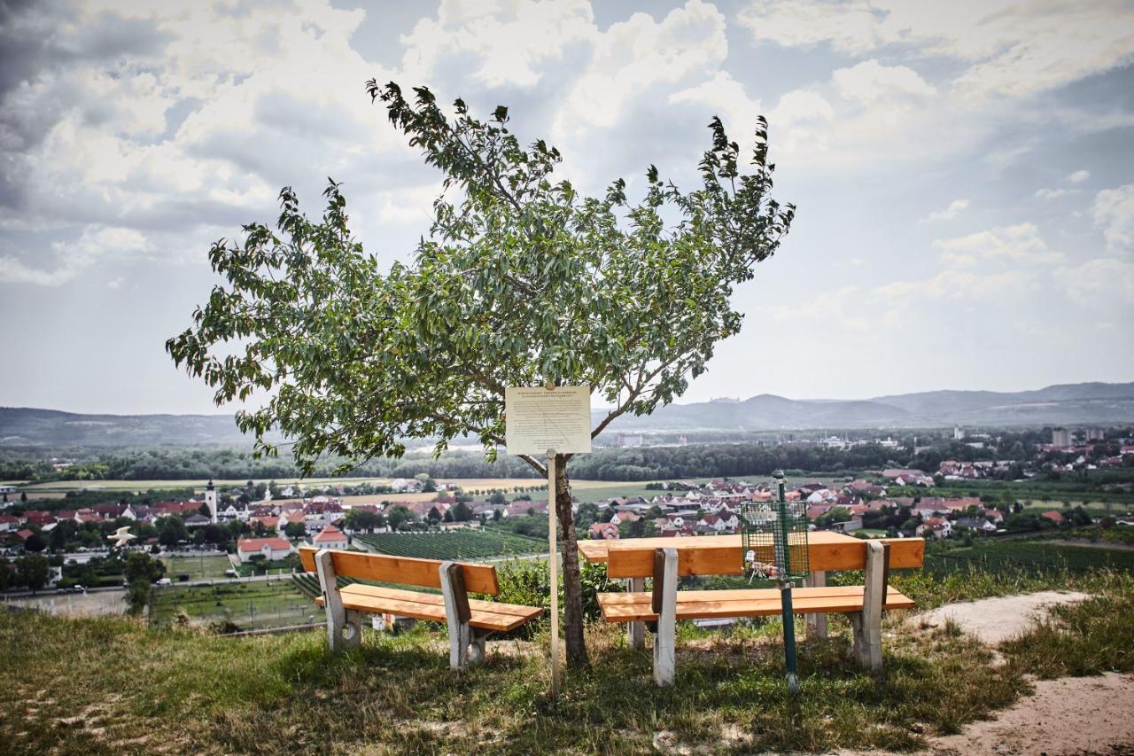לינה וארוחת בוקר Rohrendorf bei Krems Schmankerl Und Gast מראה חיצוני תמונה