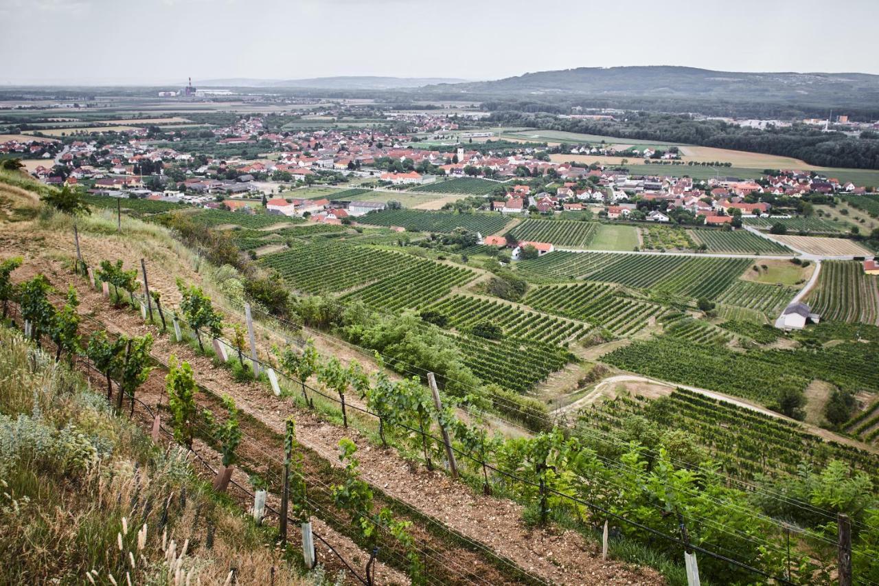 לינה וארוחת בוקר Rohrendorf bei Krems Schmankerl Und Gast מראה חיצוני תמונה